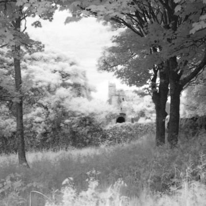 Manorbier Castle through trees