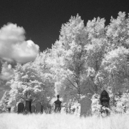 Gravestones on a sunny day