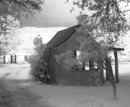 Summer house
