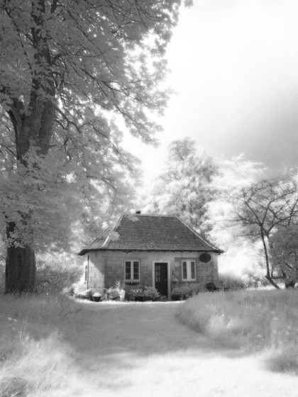 Cottage in a garden
