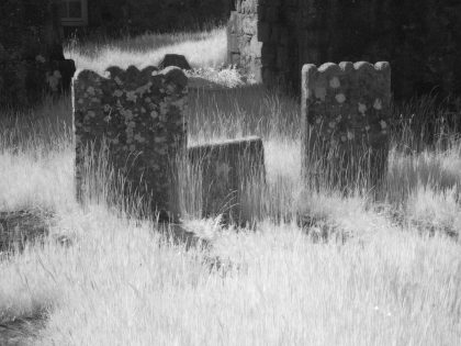 Overgrown gravestones