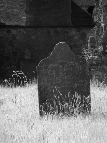 Gravestone in the long grass